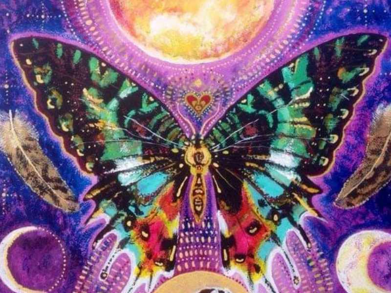 Life Transformation 800x600 02